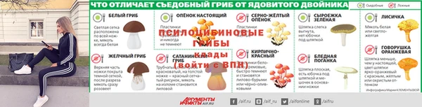СК Липки