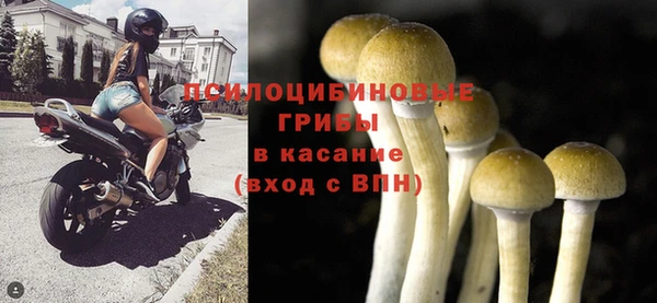 СК Липки