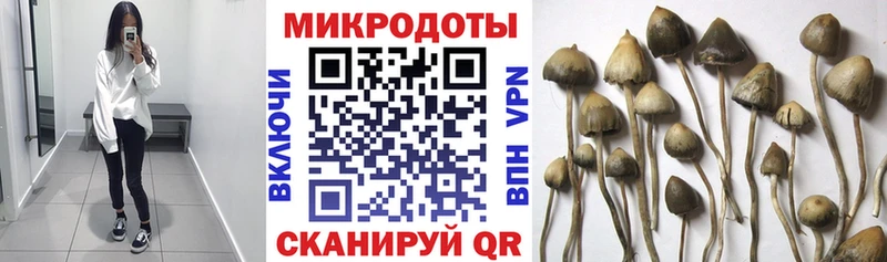 Галлюциногенные грибы прущие грибы Сочи